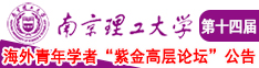 狠肏小嫩屄视频南京理工大学第十四届海外青年学者紫金论坛诚邀海内外英才！